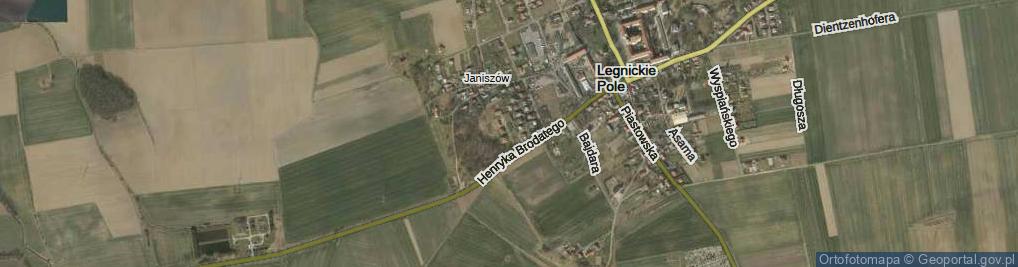 Zdjęcie satelitarne Bielowskiego Augusta ul.